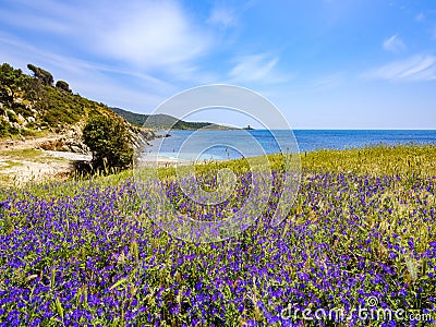 Punta Libeccio Cala Angioni beach, Domus de Maria, Sardinia, Italy Stock Photo